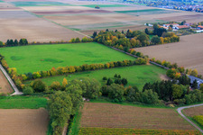 Paddock of Trakehner-Friedrich in Minfeld in the state Rhineland-Palatinate, Germany from the plane