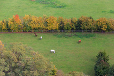 Paddock of Trakehner-Friedrich in Minfeld in the state Rhineland-Palatinate, Germany viewn from the air