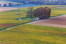 Aerial view of Water fountain and cell phone tower on the high trail in Minfeld in the state Rhineland-Palatinate, Germany