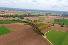 Vineyards at the Fassbrunnen in Freckenfeld in the state Rhineland-Palatinate, Germany