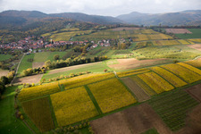Rott in the state Bas-Rhin, France from above