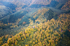 Aerial photograpy of Dambach in the state Bas-Rhin, France