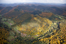 Forest and mountain scenery in autumn colurs of the nothern vosges in Windstein in Alsace-Champagne-Ardenne-Lorraine, France