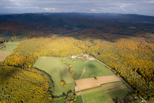 Aerial view of Villa le Riessack in Niederbronn-les-Bains in the state Bas-Rhin, France