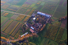 JKI Institute for Grape Breeding Geilweilerhof in Siebeldingen in the state Rhineland-Palatinate, Germany