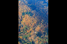 Aerial view of Nature Friends House Kiesbuckel in Frankweiler in the state Rhineland-Palatinate, Germany