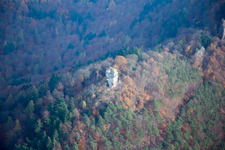Anebos in Leinsweiler in the state Rhineland-Palatinate, Germany