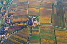 Aerial view of Hotel Leinsweiler in the autumn leaves courtyard in Leinsweiler in the state Rhineland-Palatinate, Germany