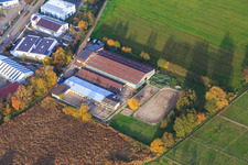 Horse trainer Oliver Wehnes in the district Minderslachen in Kandel in the state Rhineland-Palatinate, Germany