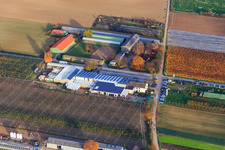 Zapf Farm Market in Kandel in the state Rhineland-Palatinate, Germany from the plane