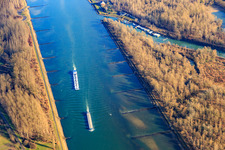 Aerial view of Course of the Rhine at the mouth of the Auer Althrein in Au am Rhein in the state Baden-Wuerttemberg, Germany