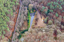 Fish pond in the Palatinate Forest in Pleisweiler-Oberhofen in the state Rhineland-Palatinate, Germany