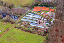 Tennis courts and restaurant at Bienwald and Waldhof-Frey GmbH in Steinfeld in the state Rhineland-Palatinate, Germany