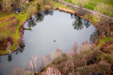 Bio reserve of a pond sorrounded by trees in Winter in Steinfeld in the state Rhineland-Palatinate