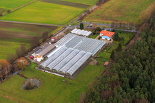 Cactus Land Steinfeld in Steinfeld in the state Rhineland-Palatinate, Germany