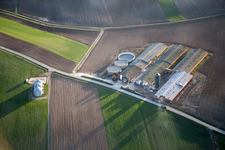 Oberlauterbach in the state Bas-Rhin, France