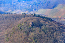 Neukastel Castle Ruins in Leinsweiler in the state Rhineland-Palatinate, Germany