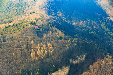 Ringelsberghütte above Frankweiler in Frankweiler in the state Rhineland-Palatinate, Germany