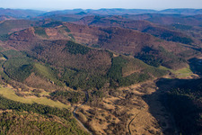 Königsbruch in Rumbach in the state Rhineland-Palatinate, Germany