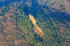 Asselstein climbing rocks in Annweiler am Trifels in the state Rhineland-Palatinate, Germany