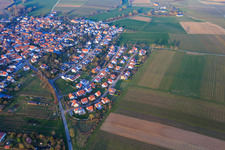 In the pea field in the district Mörzheim in Landau in der Pfalz in the state Rhineland-Palatinate, Germany
