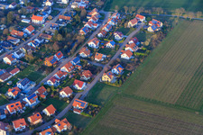 Aerial photograpy of In the pea field in the district Mörzheim in Landau in der Pfalz in the state Rhineland-Palatinate, Germany