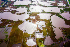 Ponds and mud - water surface in a pond landscape of the freshwater lagoon in Massarosa in the state Lucca, Italy