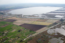 Bird's eye view of Massarosa in the state Lucca, Italy