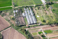 Aerial view of Massarosa in the state Lucca, Italy