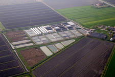Animal breeding equipment Livestock breeding for meat production in Codigoro in Emilia-Romagna, Italy