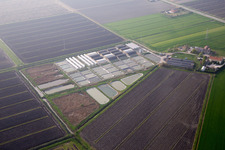 Codigoro in the state Ferrara, Italy