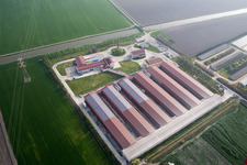 Aerial view of Animal breeding equipment Livestock breeding for meat production in Codigoro in Emilia-Romagna, Italy