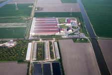 Aerial photograpy of Animal breeding equipment Livestock breeding for meat production in Codigoro in Emilia-Romagna, Italy
