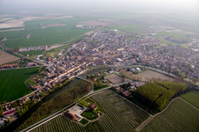 Massa Fiscaglia in the state Emilia Romagna, Italy