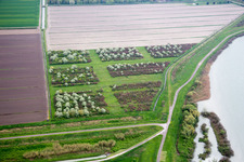 Pellestrina in the state Veneto, Italy