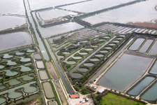 Drone recording of Pila in the state Veneto, Italy