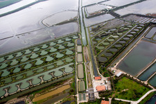 Ponds for fish farming at the delta mouth of the river Po in Porto Tolle in Veneto, Italy