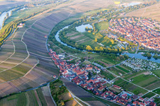 Fields of wine cultivation landscape in Nordheim am Main in the state Bavaria, Germany