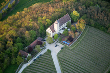 Aerial view of Castle of Hallburg Vinothek with wine yard in Volkach in the state Bavaria, Germany