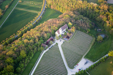 Aerial photograpy of Castle of Hallburg Vinothek with wine yard in Volkach in the state Bavaria, Germany