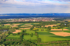 Biedensand nature reserve on the Lampertheim Althrein in Lampertheim in the state Hesse, Germany