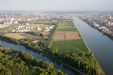 Aerial view of BASF Friesenheim in the district Neckarstadt-West in Mannheim in the state Baden-Wuerttemberg, Germany