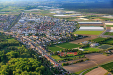 Aerial view of Old Viernheimer Street in Lampertheim in the state Hesse, Germany