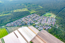 Aerial view of From the south in the district Neuschloß in Lampertheim in the state Hesse, Germany