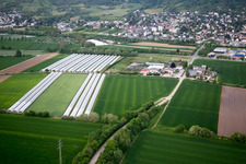 Oblique view of District Auerbach in Bensheim in the state Hesse, Germany