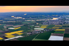 City view on the Rhine bend in the evening in Gernsheim in the state Hesse, Germany
