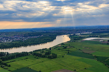 Nature reserve Riedwiesen of Wächterstadt on the banks of the Rhine in the district Leeheim in Riedstadt in the state Hesse, Germany