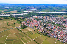 Aerial photograpy of City view between vineyards and the Rhine in Oppenheim in the state Rhineland-Palatinate, Germany