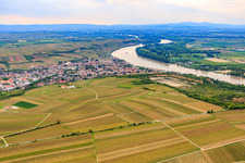 City view between vineyards and Rhine from the south in Nierstein in the state Rhineland-Palatinate, Germany