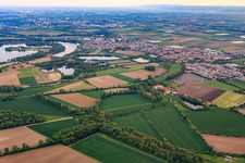 View from the north in the district Bobenheim in Bobenheim-Roxheim in the state Rhineland-Palatinate, Germany